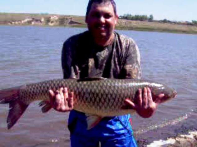 fishes - ten Sarulesti 13 kg (cu telefonul mobil) prin 2007





